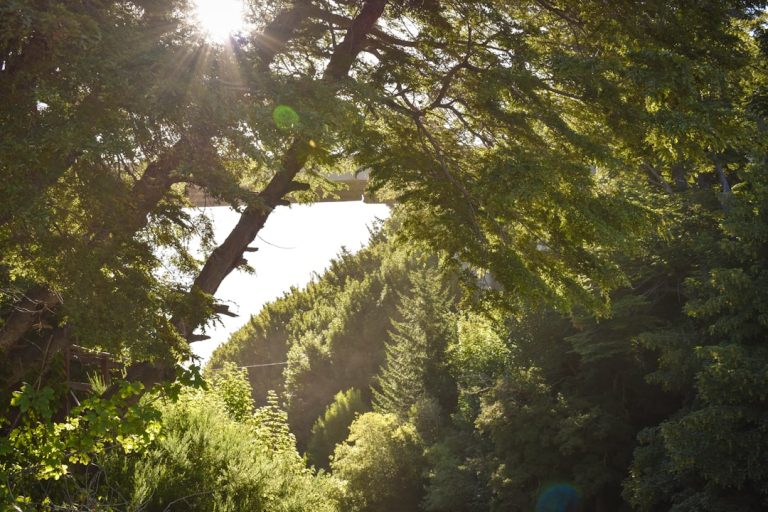 The Art of Solo Adventure: Embracing Nature and Freedom