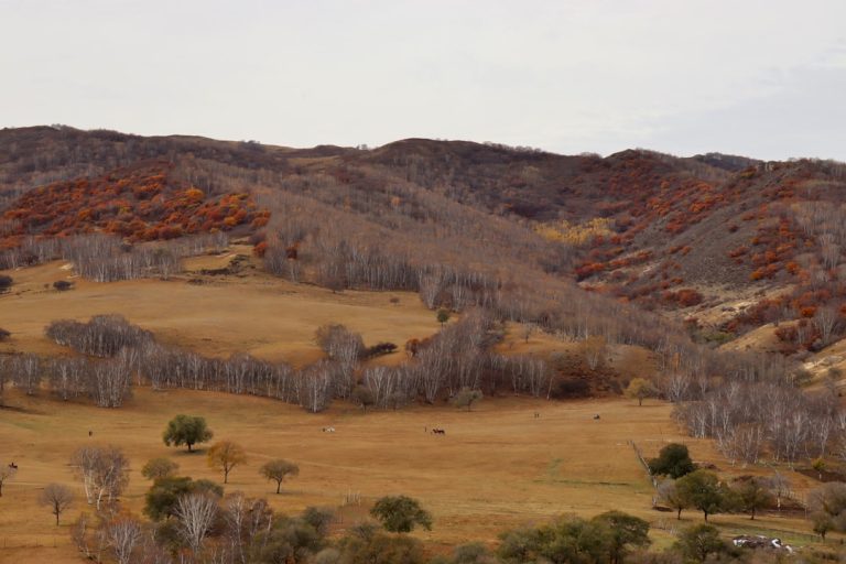 The Art of Slow Travel: Embracing Nature’s Pace